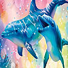 Magic dolphins hidden numbers