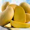 Mangga Manis Puzzles