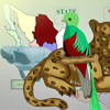 Mexican animals