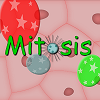 Mitosis