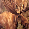 Moose in the woods puzzle