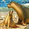 Mother and baby sea lion puzzle
