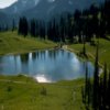 Mount Rainier national park jigsaw