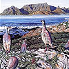 Mountain partridge puzzle