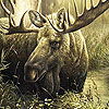 Mountain reindeer on the river puzzle