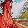 Mountain  wild horse puzzle