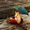 Mouse in the rain slide puzzle