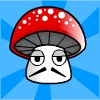 Mr shroom