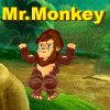 Mr. Monkey