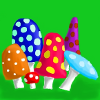 Mushroom Harvest