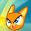 Myor cat