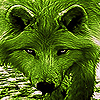 Native green wolf slide puzzle