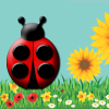 NatureBubbles