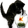 Naughty black cat slide puzzle