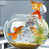 Nice hungry fishes slide puzzle