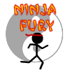 Ninja Fury