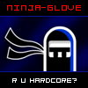 Ninja Glove