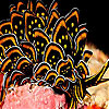 Oceanic finny fish slide puzzle