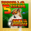 Oddball's Escape 5: Back to the Shelter