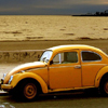 Old beetle Puzzle