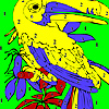 Old parrot coloring