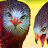 Old quarrelsome birds slide puzzle