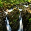 Olympic National Park Jigsaw