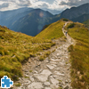 On The Trail