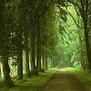 Open To Nature