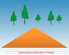 ORGANIZE THE TREES (ORGANIZA LOS ARBOLES)