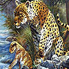 Panthers on the river  puzzle