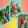 Parrot family in forest puzzle