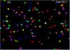 Particle Dodge