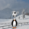 Penguin Soccer