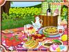 Picnic Decoration