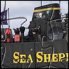 Picture Changing Jigsaw - SeaShepherd.org