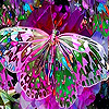 Pink fantasy butterfly slide puzzle