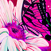 Pink garden and butterflies puzzle