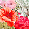 Pink garden flowers puzzle