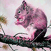 Pink hungry squirrel slide puzzle