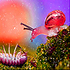 Pink Snail in garden slide puzzle