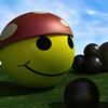 Piraticons