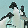 Player penguins puzzle