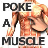 Poke-A-Muscle