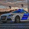 Police Car Hidden Numbers