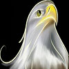 Proud bird slide puzzle