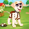puppy dress up games