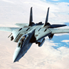 Puzzle F-14