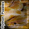 Python Puzzles