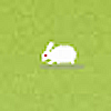Rabbit Defence